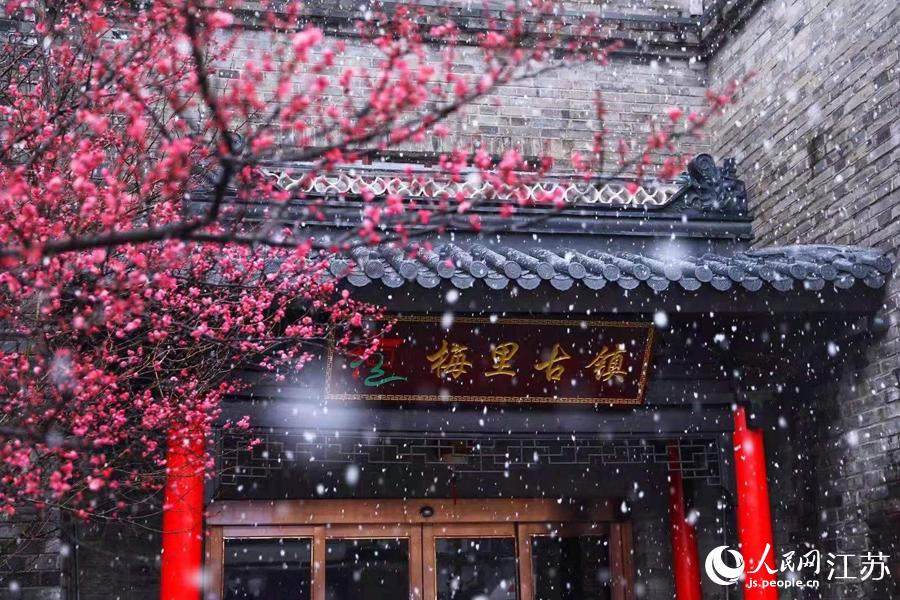 小雪点缀在红梅枝头，雪中的梅里古镇美不胜收。周天音摄