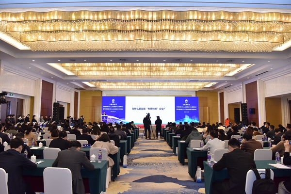 发布会现场。高新区区委宣传部供图